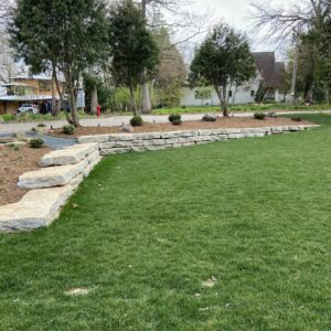 Plants, Walls, Steps & Grading